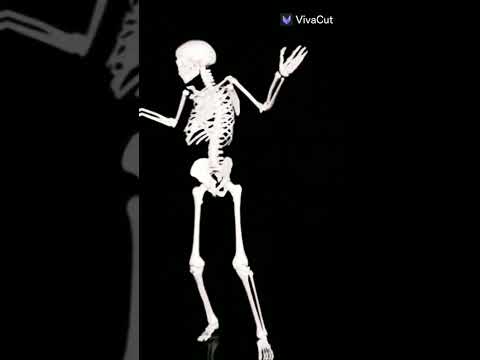 في واحد عندكم اسمه صلاح انا الكبير