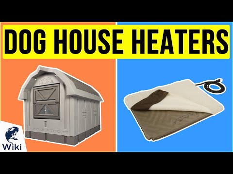 8 Best Dog House Heaters 2020