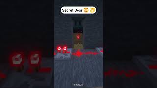 Secret Door 🤩 #shorts #minecraft @lluurii11