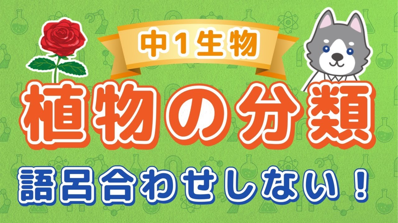 中1理科『植物の分類』＊語呂合わせなしの覚え方