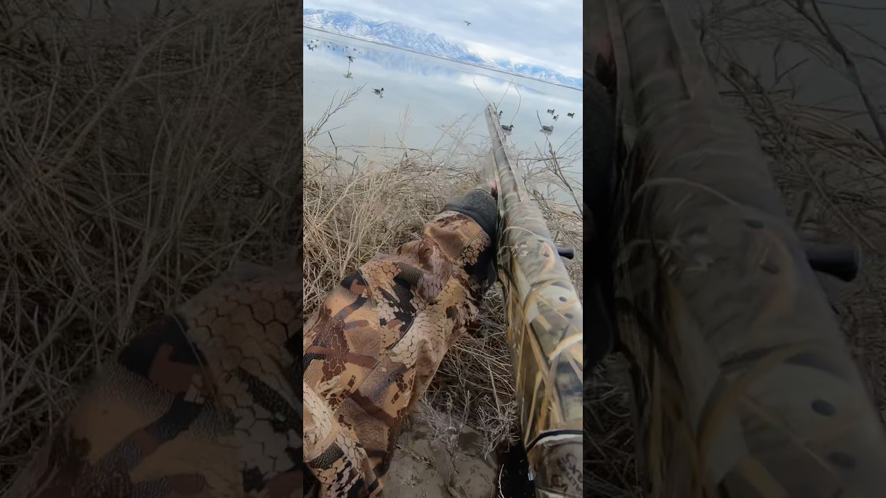 Landing gear deployed 