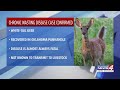 Chronic Wasting Disease case confirmed