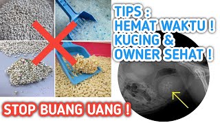 Toilet Kucing TIPS FOR YOUR CAT LITTER BOX