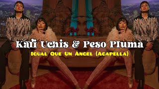 Kali Uchis & Peso Pluma - Igual Que Un Ángel [ACAPELLA]