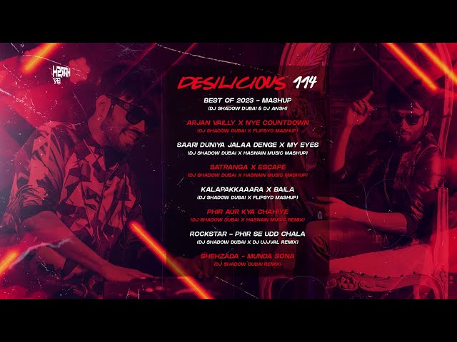 Desilicious 114 |  DJ Shadow Dubai | Audio Jukebox | Bollywood Latest Remix 2024 class=