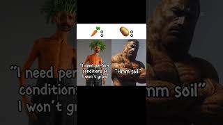potato — video thumbnail