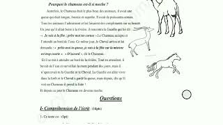 اختبار الفصل الثالث لغة فرنسية سنة ثانية متوسط.