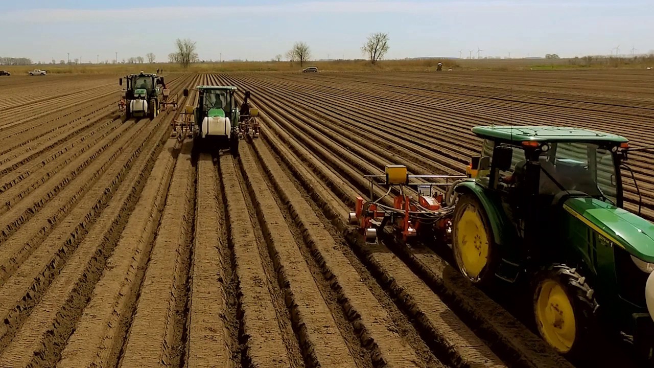 Natures Finest Produce - Planting