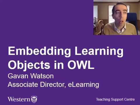 How to embed multimedia objects in OWL