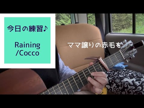 Raining / Cocco【ギター初心者ꕤ୭*練習中-88】