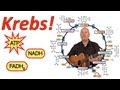 Krebs! (Mr. W's Krebs Cycle Song)