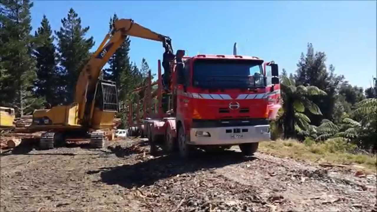 The Waimarino Warriors