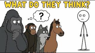 what do animals think of humans?