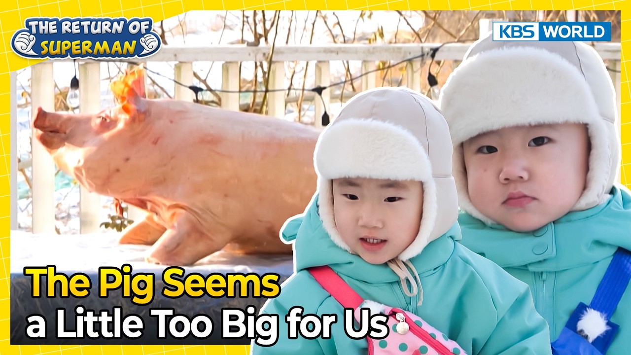 It's Siu's Birthday!🥳 [The Return of Superman:Ep.610-4] | KBS WORLD TV 260308