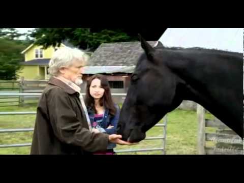 Jodelle FerlandMidnight Stallion - What About Midnight