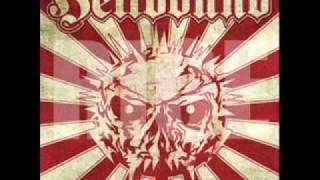 SRB - Everything is Fucked