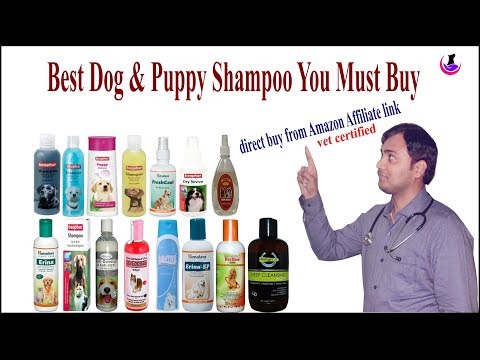 top-20-best-dog-shampoo-to-buy(-direct-purchase-):-vet-certified