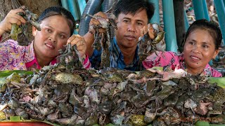 Cooking Traditional Banded Bullfrog Recipe, Delicious Ngam Ngov Food Style, Kitchen Foods in Village