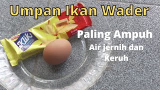 Umpan Ikan Wader di Sungai yang Paling Ampuh di Air jernih dan Keruh