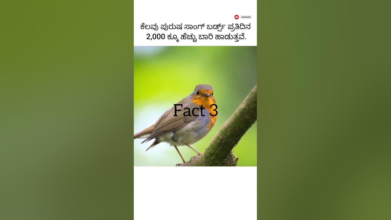 Facts In Kannada Shorts Facts Short Video In Kannada Amazing Facts facts-in-kannada-shorts-facts-short-video-in-kannada-amazing-facts