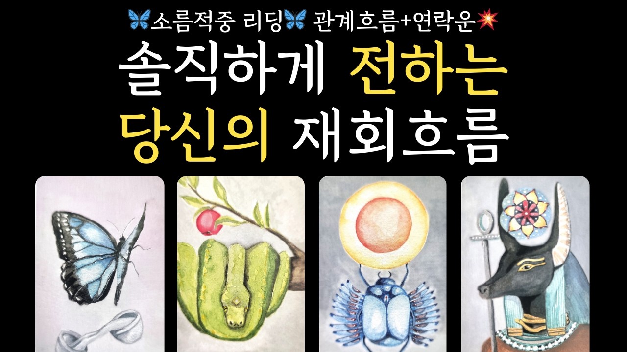 [타로]💥재회흐름💥솔직하게 전하는 당신의 관계흐름+연락운 🦋200% 정확한 그 사람의 현재, 미래 속마음‼️