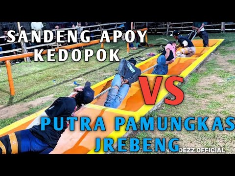 SEMUA KABUR PEMBURU BOCIL SUITAN ‼️GREBEK KALAPAN PUTRA PAMUNGKAS MUHARTO GG 5. #25