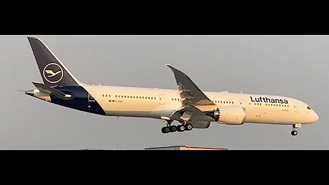 Lufthansa 787-9 D-ABPD  “Frankfurt am Main” landing at Paine field  #Boeing #Lufthansa