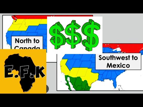Cost of living in USA was unbearable & women there so MATERIALISTIC, Black American brother reveal.