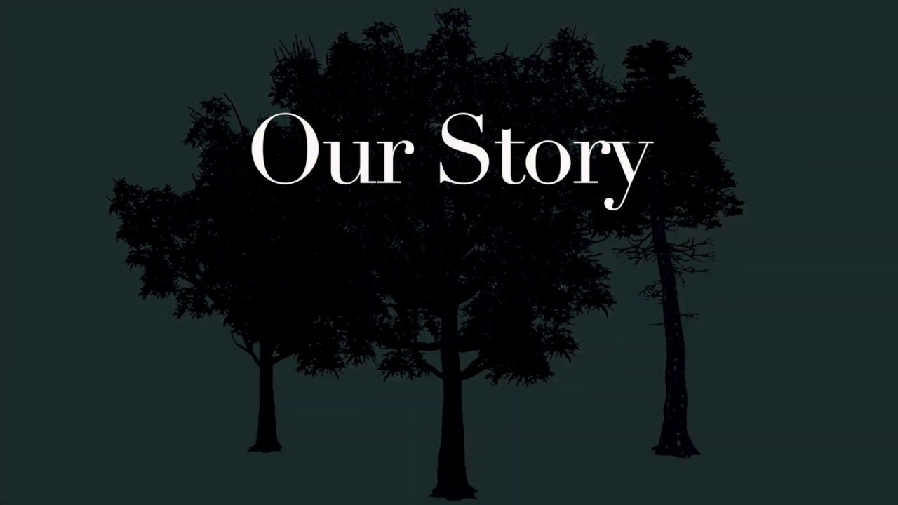 The Treehouse Remedy: Our Story