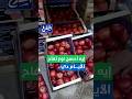 الشارع إيه أحسن نوع تفاح ممكن تأكله الأيام دي 