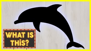 WHAT IS THiS  Sea Animal  Sea Animals for kids ❤ Sea Animal Names in English for Children to learn