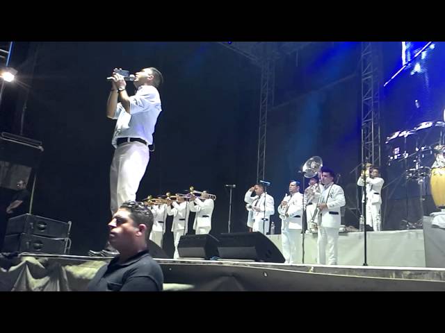 musica de opaco y sensible la arrolladora en vivo