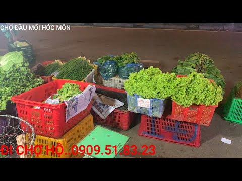 Video 295#CẬP NHẬT GIÁ RAU THƠM CÁC LOẠI,CHỢ ĐẦU MỐI HÓC... - youtube