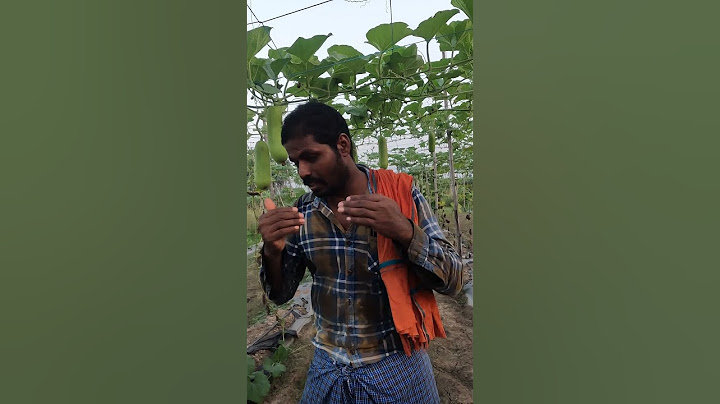 ஒரு ஏக்கர் விவசாயம் செய்வதற்கு 6 ஆயிரம் ரூபாய் விதைகள் செலவாகிறது