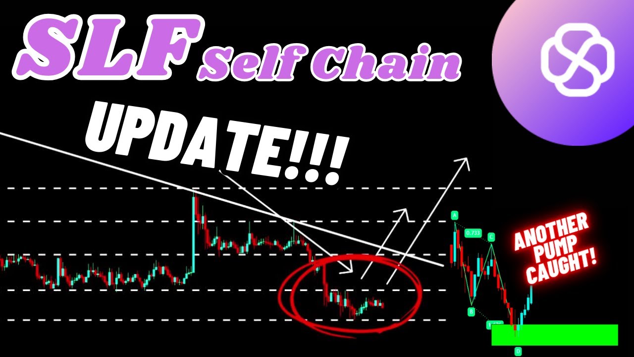 Self Chain (SLF) Crypto Coin Update!!! - YouTube