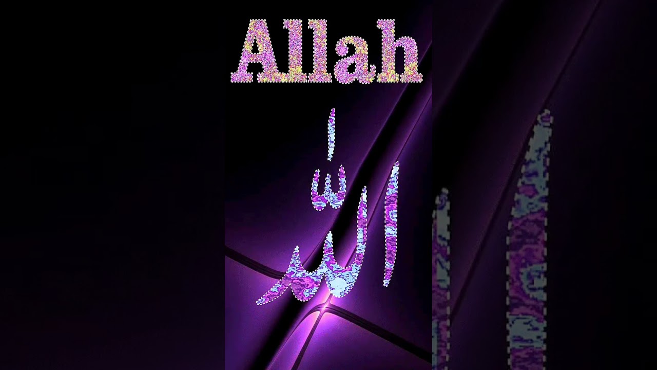 ay sherry arab bazoay arab #islamicreminder #hidayatkibat