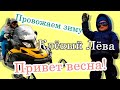 Клёвый Лёва. Привет весна! | @Funky_Leva