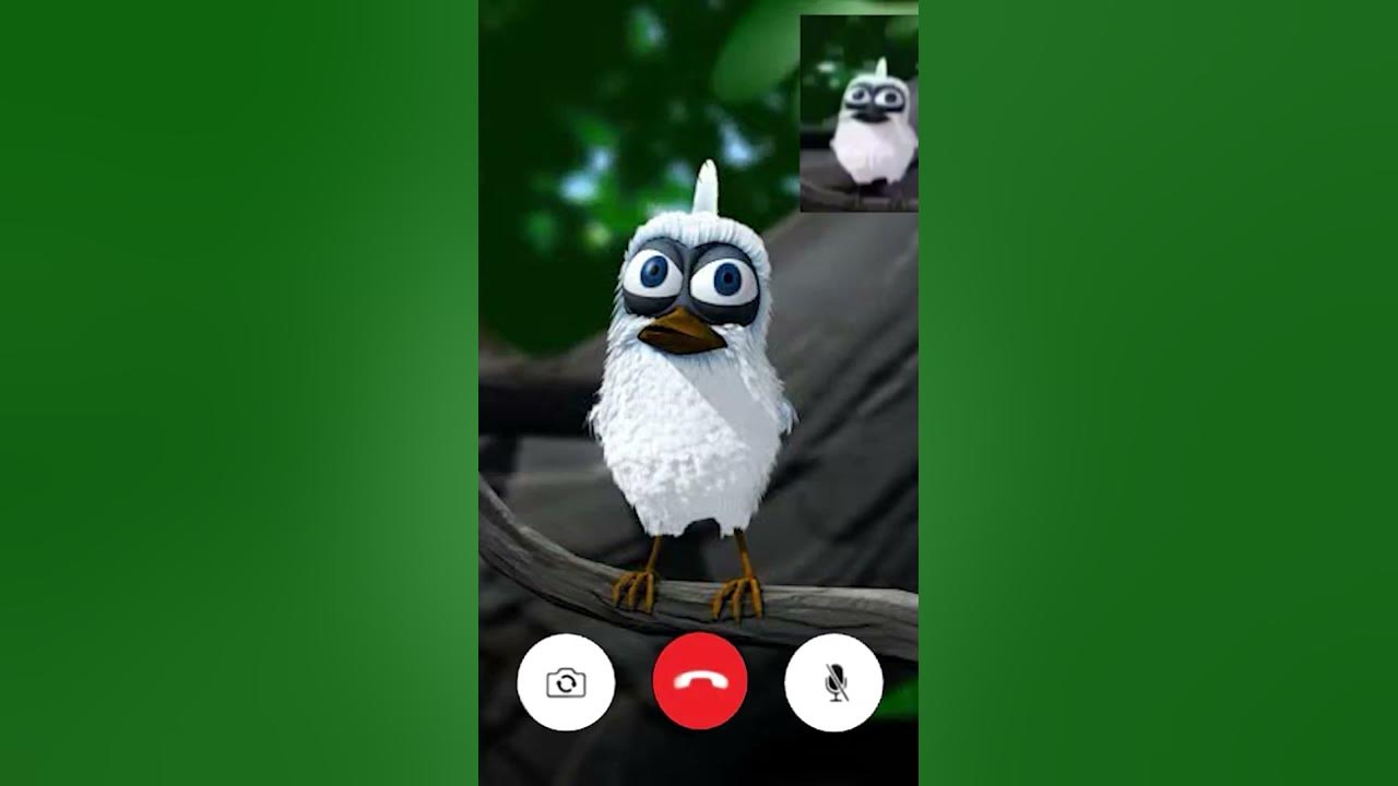 Screaming White Bird Meme (Facetime)