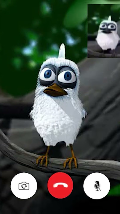 Screaming White Bird Meme (Facetime)