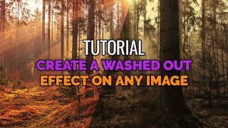 Create a washed out image using ACDSee - Tutorial