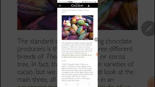 cocoa trees and beans. cacao trees. 코코아 나무 및 열매.빈. 콩. 쵸코렛 쇼콜라. chacolate. hotel chocolat. 쵸콜렛호텔