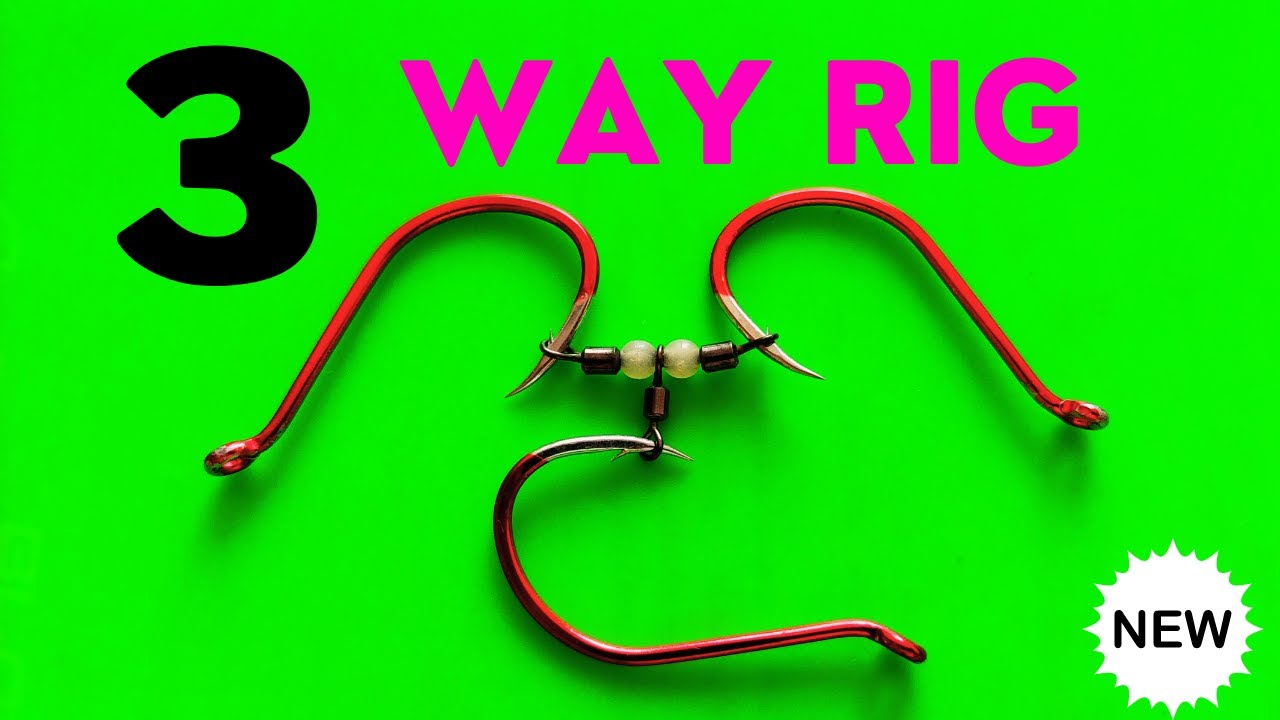 3 Way Rig Setup For Bottom Fishing