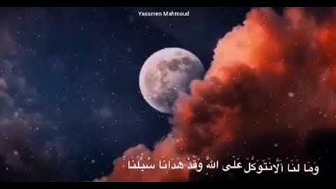 قرآن كريم بصوت القارئ اسلام صبحى❤||حالات واتس اب||Quran status