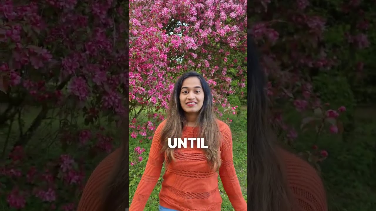 The Best Time to visit Germany