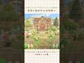 【あつ森】自然に囲まれた自宅｜ナチュラルかわいい島｜Home surrounded by nature【島クリエイター】#shorts #あつ森 #島クリエイト #acnh
