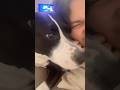 me and my luna #music #fypシ゚viral #dog #pets