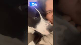 me and my luna #music #fypシ゚viral #dog #pets