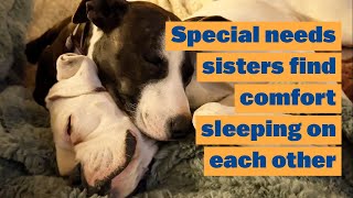 Special Needs Sisters Find Comfort Sleeping on Each Other