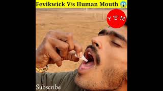 Fevikwick 😱😱 Experiment BY @Experiment__King @MRINDIANHACKER @CrazyXYZ #shorts #short