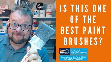 The Ultimate Paint Brush Guide: Mastering Edging & Cutting in Oil and Water-Based Paints